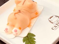 -猫小院猫主题咖啡厅(北锣店)