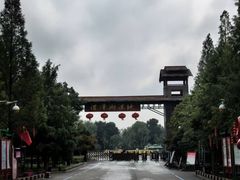 -泗洪洪泽湖湿地景区