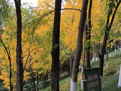 -龙头寺公园