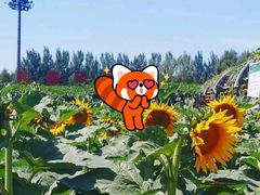 -长春农业博览园