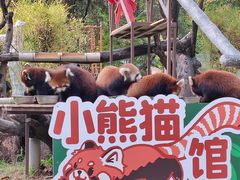-广州动物园