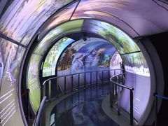 -房山世界地质公园博物馆