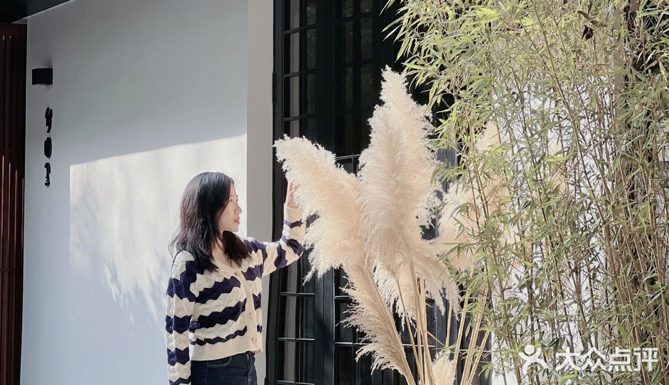 周末游玩好去处，竹林深处的竹园里