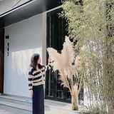 周末游玩好去处，竹林深处的竹园里