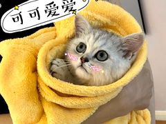 -宠颐生宠物医院·骨外科·犬猫全科诊疗中心(池州店)