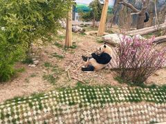 -青藏高原野生动物园