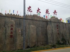 -龙大花卉苗木市场