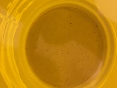 -成桂西餐厅·42年的味道(五大道疙瘩楼店)