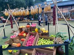 -中国天府农业博览园