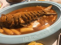 -阿五黄河大鲤鱼(海尚店)