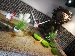 -曹家大院(通州店)