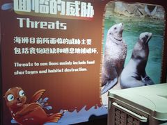 -珠海长隆海洋王国