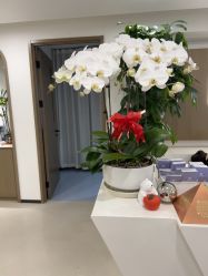 -丰联丽格医疗美容·联合丽格眼整形中心