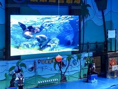 -石家庄极地海洋世界