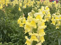 -广州市流溪河国家森林公园