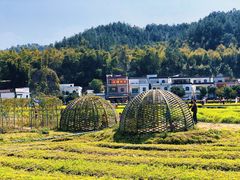 -红山村