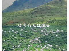 -四川郎木寺镇