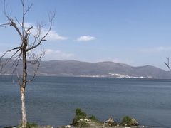 -大理洱海