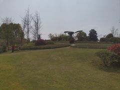 -铁山坪森林公园