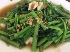 普吉镇-普吉镇