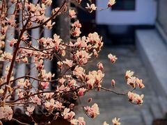 -北京颐和宾馆