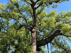 -新安江山水画廊风景区