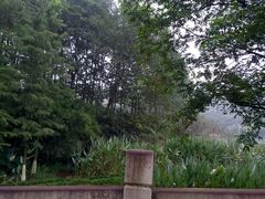 -重庆彩云湖湿地公园