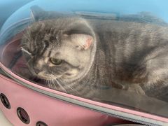 -瑞派福兴宠物医院犬猫全科·骨科·中西医结合(河东店)