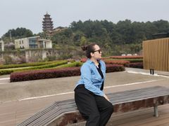 -铁山坪森林公园