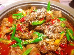 -猫头婴小酒馆FUN OWL(1912店)