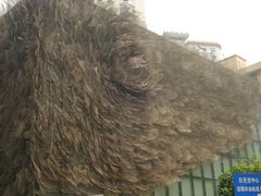 外墙上的铁网牡丹-上海琉璃艺术博物馆