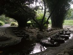 -成都市活水公园