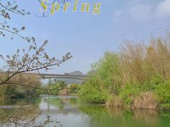 -贵阳市花溪国家城市湿地公园