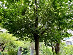 -广州神农草堂中医药博物馆