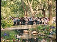 -上海共青森林公园