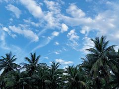 -西秀海滩公园