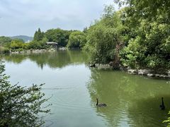 -无锡蠡湖国家湿地公园-蠡园