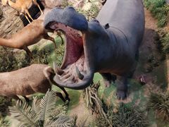 -陕西自然博物馆