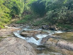 -广州白江湖森林公园