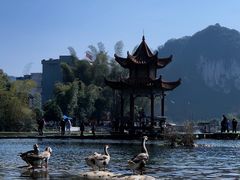 -靖西鹅泉风景区