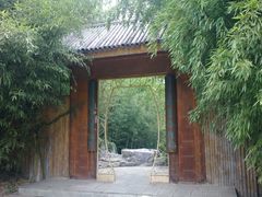-紫竹院公园冰场