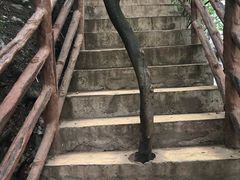 -野三坡清泉山风景区