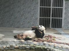 -西安秦岭野生动物园