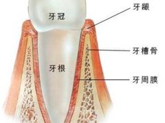 -团圆口腔·种植中心(锦江院区)