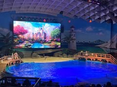 -海合安武汉极地海洋公园
