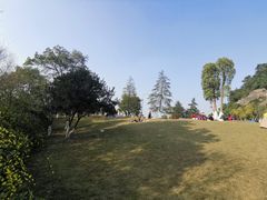 -铁山坪森林公园