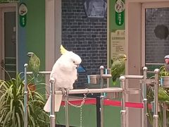 -洛阳龙门海洋馆