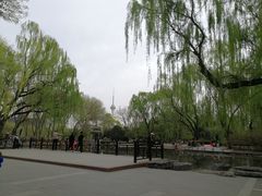 -玲珑塔公园
