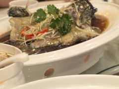 -凤凰楼酒家·粤宴点心(华强北店)