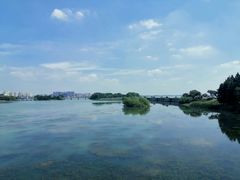 -贡湖湾湿地公园